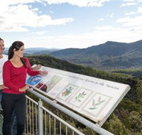 Whyte Hills Lookout - Great Ocean Road Tourism
