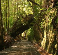 Philosopher Falls - Great Ocean Road Tourism