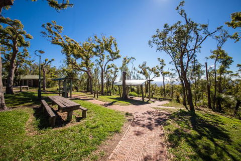 Rockhampton To Carnarvon Gorge Four Night Drive - Great Ocean Road Tourism 0
