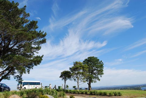 South Coast Scenic Tours - Great Ocean Road Tourism 6