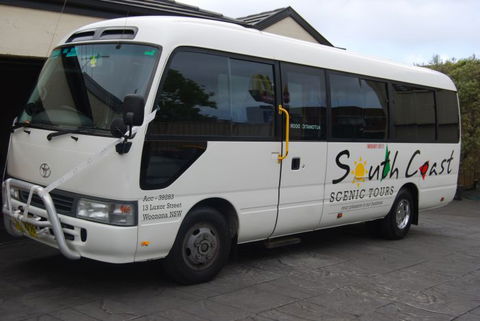 South Coast Scenic Tours - Great Ocean Road Tourism 17