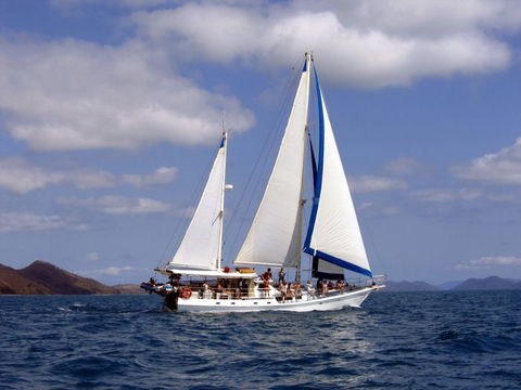 Adventure, Cruise, Dive And Outer Reef - Whitsundays Sailing Adventures - Great Ocean Road Tourism 6