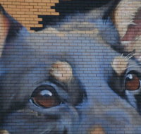 Visit Benalla Tours - Great Ocean Road Tourism