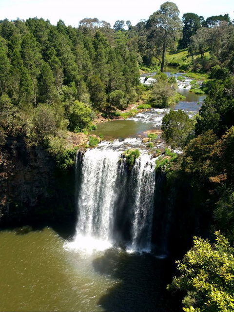 A1 Coffs Coast Tours - Great Ocean Road Tourism 6