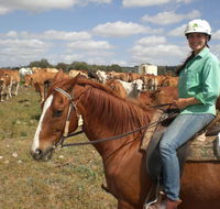 Myella Farm Stay Tours - Great Ocean Road Tourism