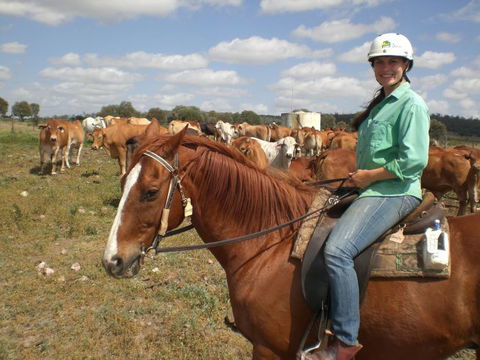 Myella Farm Stay Tours - Great Ocean Road Tourism 0