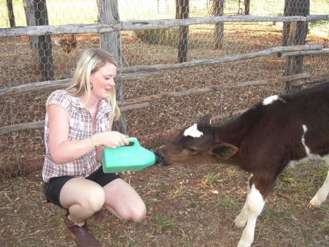 Myella Farm Stay Tours - Great Ocean Road Tourism 1