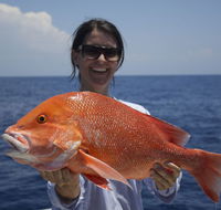 Absolute Ocean Charters - Great Ocean Road Tourism