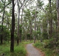 Caboolture Regional Environment Education Centre - Walking Trails - Great Ocean Road Tourism