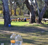 Glendale Citrus  Hazelnut Orchard - Great Ocean Road Tourism