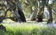 Aussie Heritage Tours - thumb 5