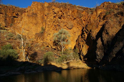 Aussie Heritage Tours - Great Ocean Road Tourism 6