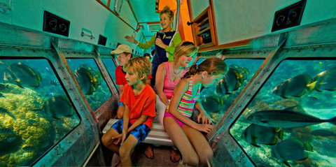 Big Cat Green Island Reef Cruises - Great Ocean Road Tourism 3