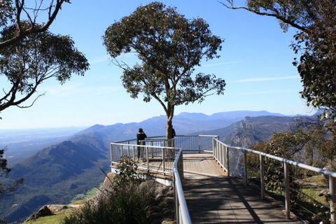 Australian Natural Treasures Touring - Great Ocean Road Tourism 7