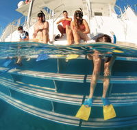 Australian Sunset Safaris - Great Ocean Road Tourism