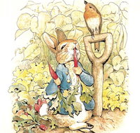 Mount Isa Civic Centre - Great Ocean Road Tourism