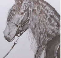 Great Lakes Art Society - Great Ocean Road Tourism