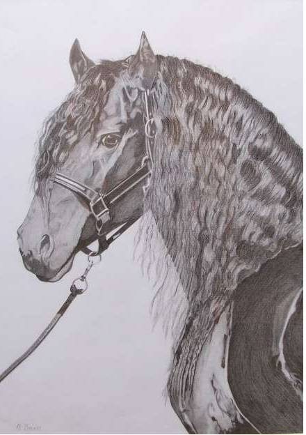 Great Lakes Art Society - Great Ocean Road Tourism 0