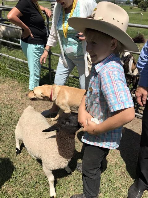 Yamba Tours And Charters - Great Ocean Road Tourism 2