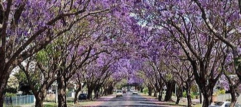 Yamba Tours And Charters - Great Ocean Road Tourism 6