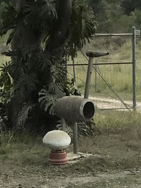 Yamba Tours And Charters - Great Ocean Road Tourism 7