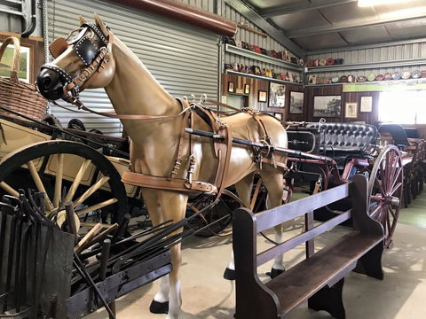 Yamba Tours And Charters - Great Ocean Road Tourism 9