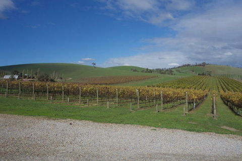Wine Compass - Great Ocean Road Tourism 1