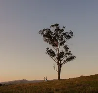 Faulls Ridge Winery - Great Ocean Road Tourism