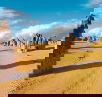 Pinnacles Desert Koalas and Sandboarding 4WD Day Tour from Perth - Great Ocean Road Tourism
