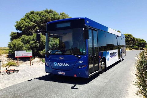 Rottnest Bayseeker Bus Tour From Hillarys Boat Harbour - Great Ocean Road Tourism 2