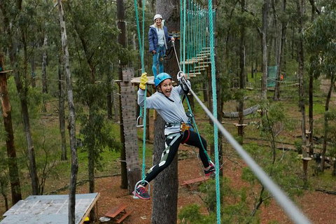 Busselton High Ropes And Zipline Adventure - Great Ocean Road Tourism 0