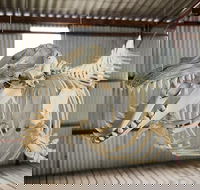 Albany's Whale Story - Great Ocean Road Tourism