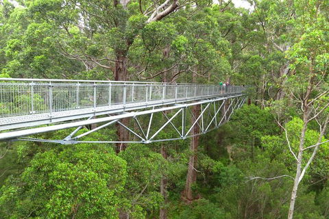 Albany Southwest Wilderness Day Tour - Fly From Perth - Great Ocean Road Tourism 2