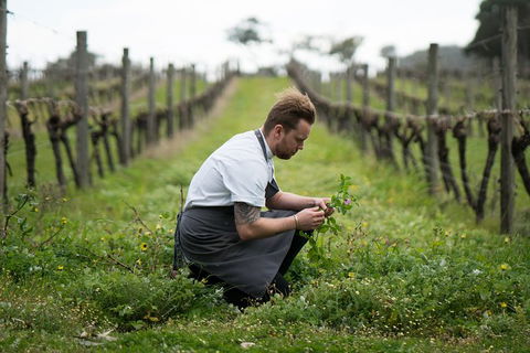 Vasse Felix Epicurean Tour And Tasting Experience With 5 Course Lunch - Great Ocean Road Tourism 9