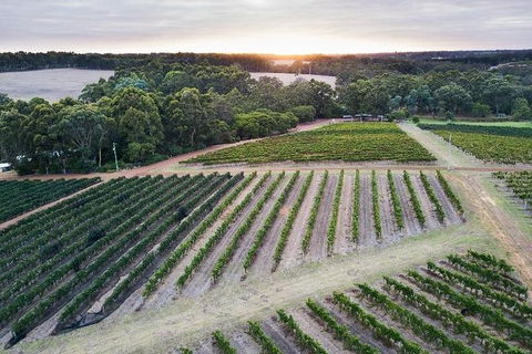 Vasse Felix Epicurean Tour And Tasting Experience With 5 Course Lunch - Great Ocean Road Tourism 7