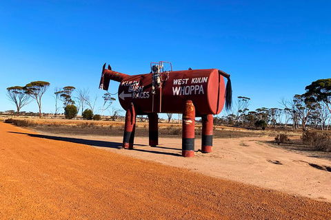 The Big Wave Rock (Private) Day Tour - Great Ocean Road Tourism 12
