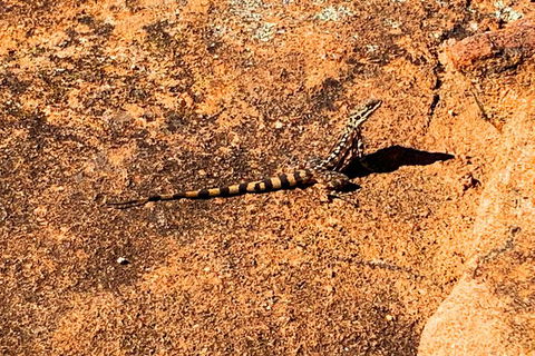 The Big Wave Rock (Private) Day Tour - Great Ocean Road Tourism 4