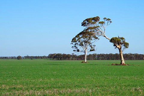 The Big Wave Rock (Private) Day Tour - Great Ocean Road Tourism 13
