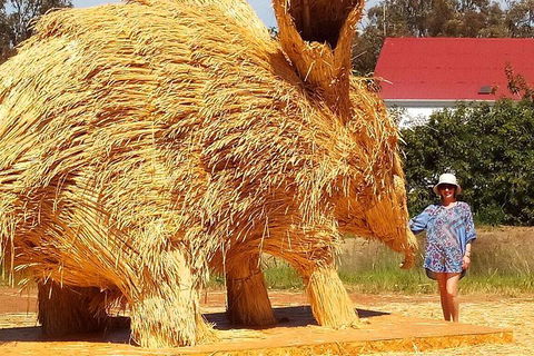 The Big Wave Rock (Private) Day Tour - Great Ocean Road Tourism 16