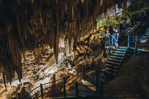 Ngilgi Cave Semi-guided Tour - Great Ocean Road Tourism 0