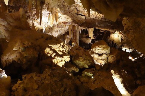 Ngilgi Cave Semi-guided Tour - Great Ocean Road Tourism 3