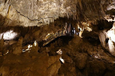 Ngilgi Cave Semi-guided Tour - Great Ocean Road Tourism 5