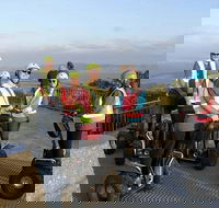 Albany Summit to Sea Adventure - Guided Segway Tour - Great Ocean Road Tourism