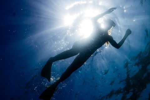 Ningaloo Reef Or Muiron Islands Snorkeling And Wildlife Adventure - Great Ocean Road Tourism 6