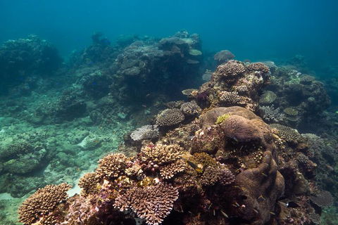 Ningaloo Reef Or Muiron Islands Snorkeling And Wildlife Adventure - Great Ocean Road Tourism 4