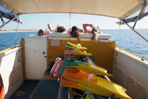 Ningaloo Reef Or Muiron Islands Snorkeling And Wildlife Adventure - Great Ocean Road Tourism 11