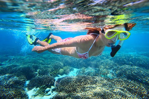 Abrolhos Islands Scenic Flight & Snorkel Adventure From Perth - Great Ocean Road Tourism 0