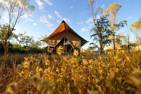 APT Kimberley Wilderness Adventures Purnululu (Bungle Bungle) 4WD Experience - Great Ocean Road Tourism 10
