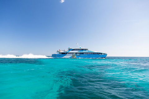 Rottnest Island Bayseeker Day Trip From Fremantle - Great Ocean Road Tourism 1