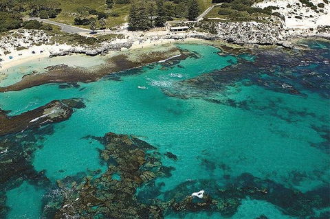 Rottnest Island Bayseeker Day Trip From Fremantle - Great Ocean Road Tourism 4